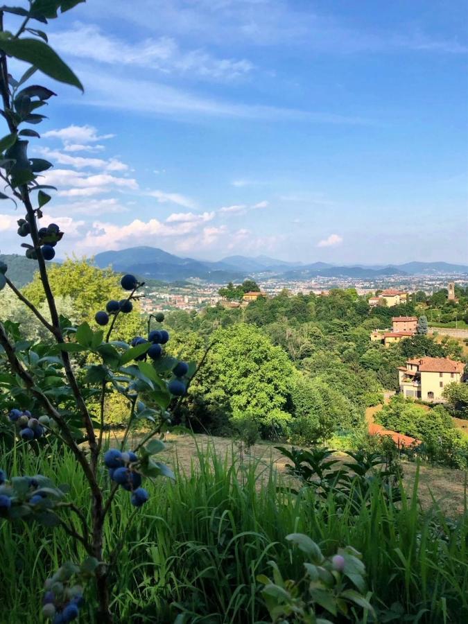 Foresteria Antica Bastia B&B Bergamo Eksteriør bilde