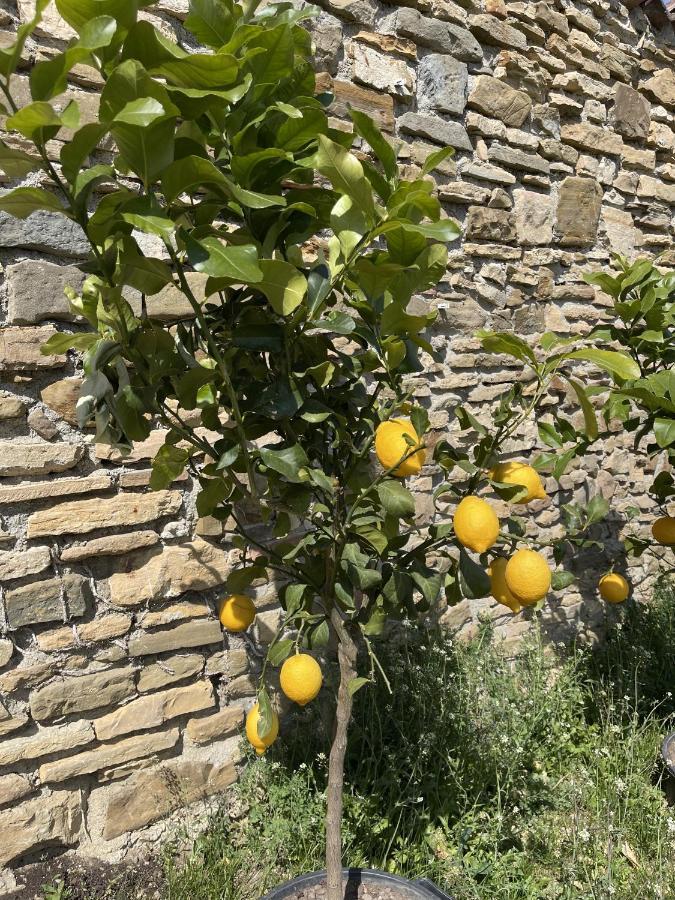 Foresteria Antica Bastia B&B Bergamo Eksteriør bilde